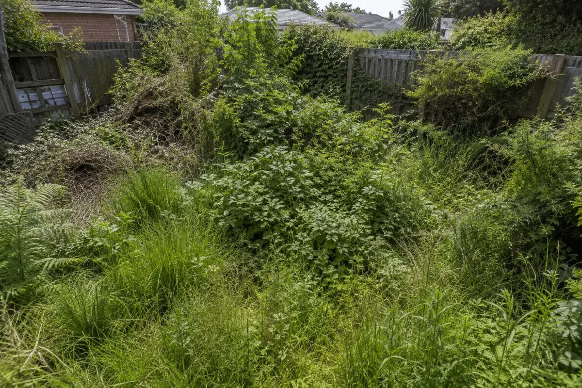 An overgrown rental property section before an end of tenancy clean-up