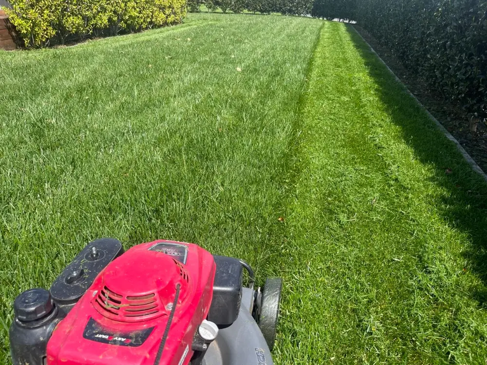 Lawnify crew mowing across the slope on a Bethlehem ridge section