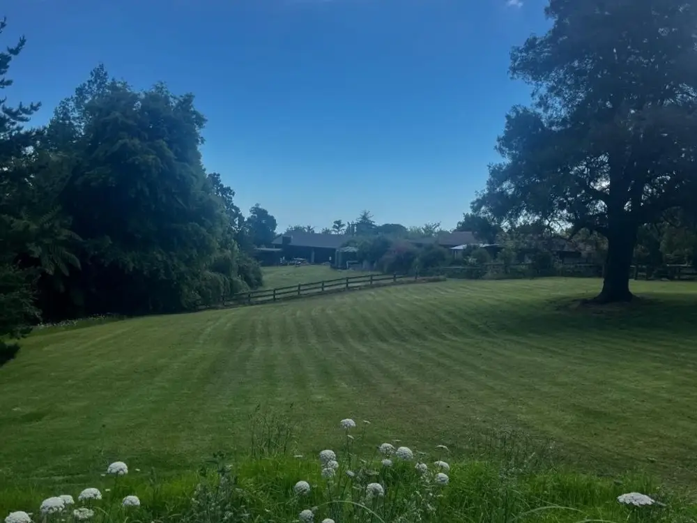 Ride-On Mowing at Ōtūmoetai